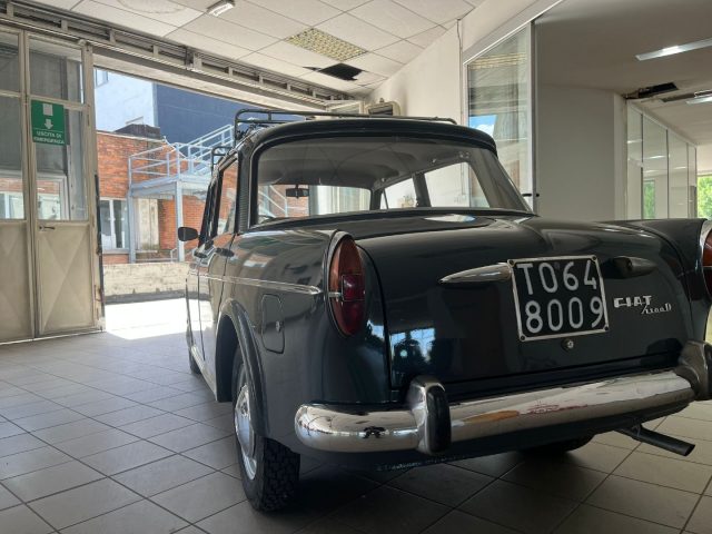 FIAT 1100 usata 6