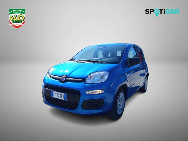 FIAT Panda usata 16