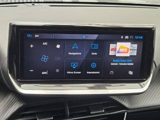 PEUGEOT 208 usata, con Vetri oscurati