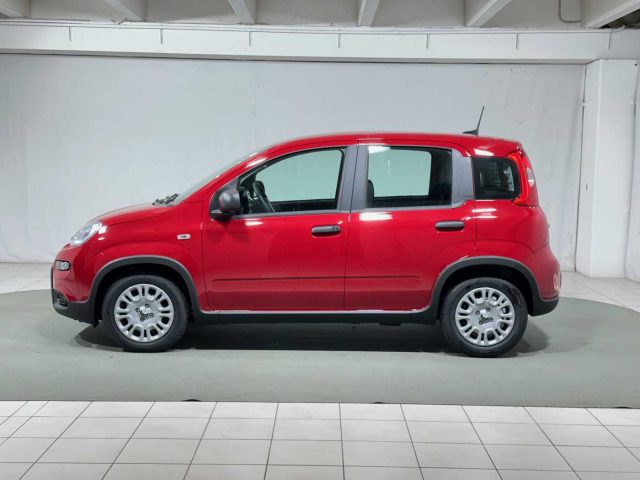 FIAT Panda usata, con Airbag