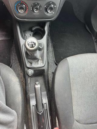 FIAT Punto usata 12
