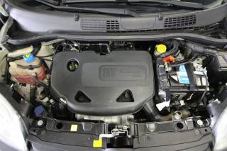 FIAT Panda usata, con Hill holder
