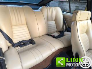 ALFA ROMEO GTV usata 15