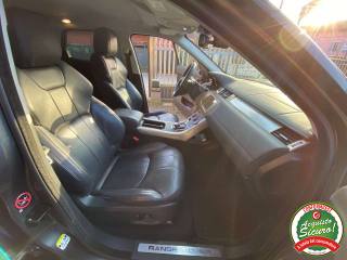 LAND ROVER Range Rover Evoque usata 14