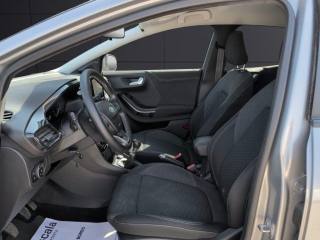 FORD Puma usata, con Fendinebbia