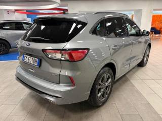 FORD Kuga usata, con Fendinebbia