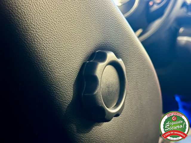 MINI Countryman usata, con Cronologia tagliandi