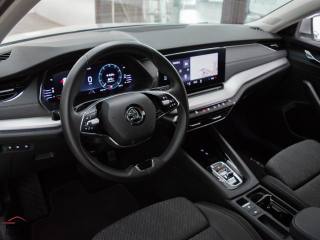 SKODA Octavia usata, con Cerchi in lega
