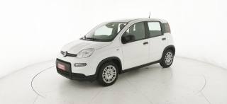FIAT Panda usata 26
