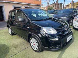 FIAT Panda usata, con Airbag