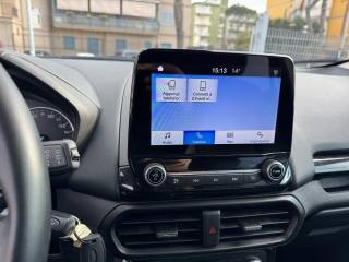 FORD EcoSport usata, con Fendinebbia
