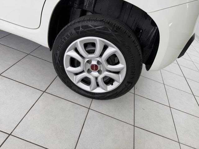 FIAT Panda usata 12