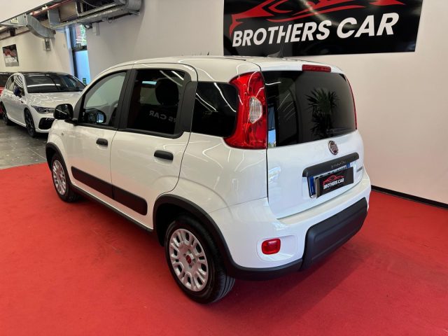 FIAT Panda usata, con Antifurto