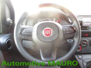 FIAT Panda usata, con Airbag testa