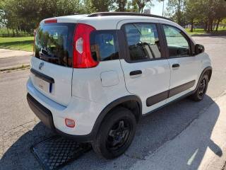 FIAT Panda usata, con Antifurto