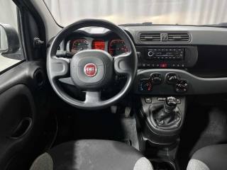 FIAT Panda usata 12