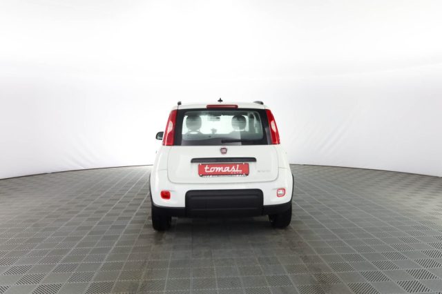 FIAT Panda usata 4