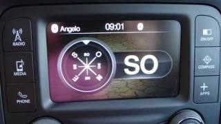 JEEP Renegade usata 105