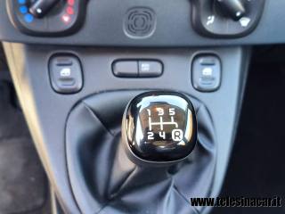 FIAT Panda usata 14