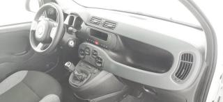 FIAT Panda usata 47