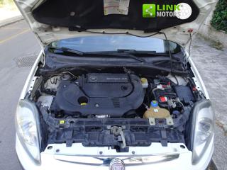 FIAT Punto Evo usata 19