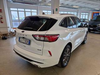 FORD Kuga usata, con Alzacristalli elettrici