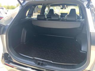 TOYOTA RAV 4 MY23 usata, con Controllo trazione