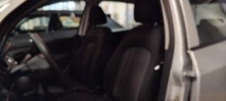 FIAT Punto usata 15