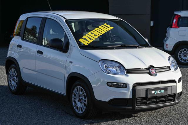 FIAT Panda usata, con Airbag Passeggero