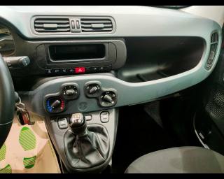 FIAT Panda usata, con Controllo automatico clima