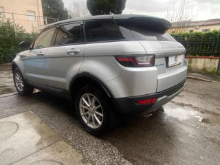 LAND ROVER Range Rover Evoque usata 5