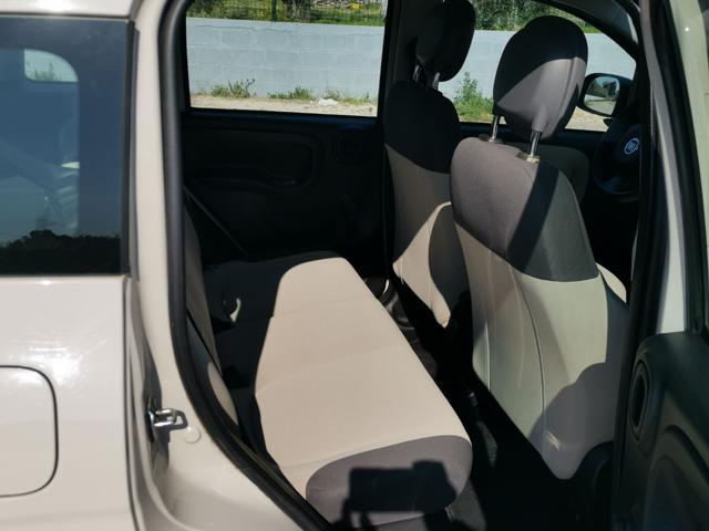 FIAT Panda usata 20