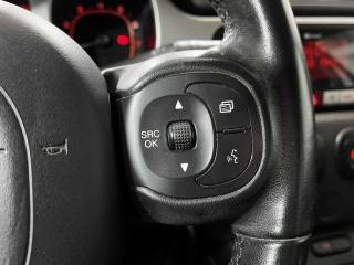 FIAT Panda Cross usata 20