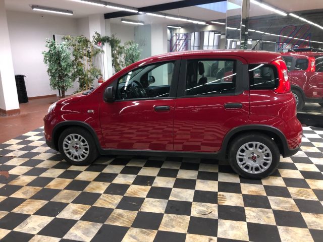 FIAT Panda usata, con Controllo trazione