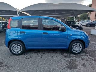 FIAT Panda usata, con Chiusura centralizzata