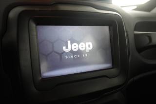 JEEP Renegade usata 14