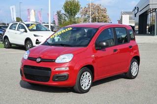 FIAT Panda 1.0 FireFly S&S GPL Icon