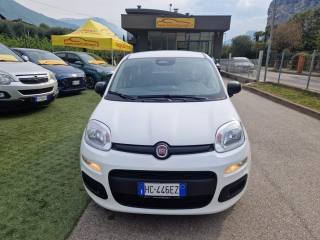 FIAT Pandina usata, con Controllo trazione