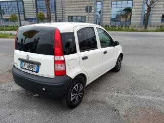 FIAT Panda usata, con Servosterzo