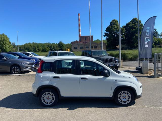 FIAT Panda usata, con Alzacristalli elettrici