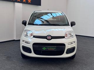FIAT Panda usata, con Airbag Passeggero