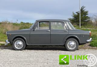 FIAT 1100 usata 3