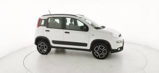 FIAT Panda usata 23