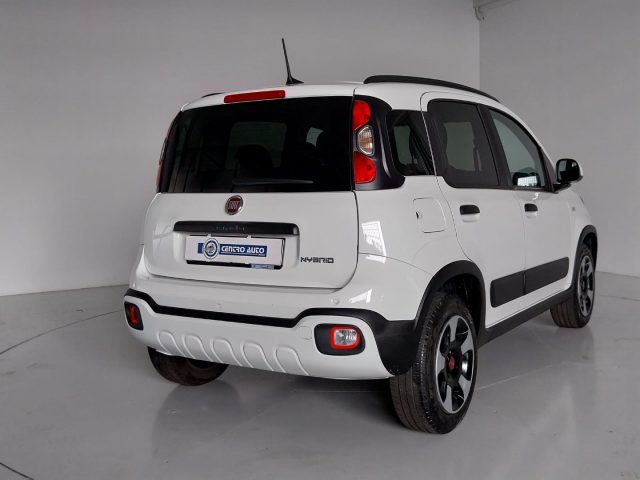 FIAT Panda Cross usata, con Fendinebbia