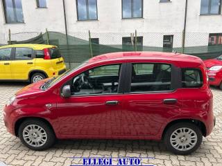 FIAT Panda usata, con Climatizzatore