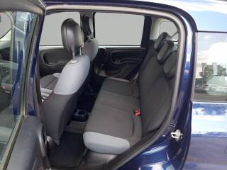 FIAT Panda Cross usata, con Climatizzatore