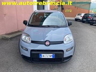 FIAT Panda usata, con Autoradio