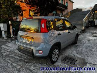 FIAT Panda usata, con Antifurto