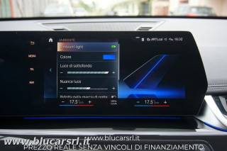 BMW X1 usata 20