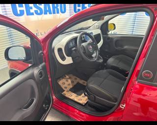 FIAT Pandina Cross usata, con Cerchi in lega